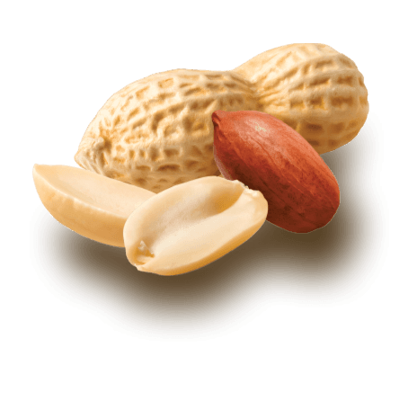 flavor image