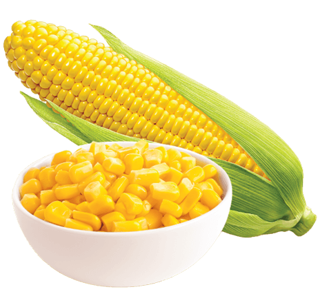 flavor image