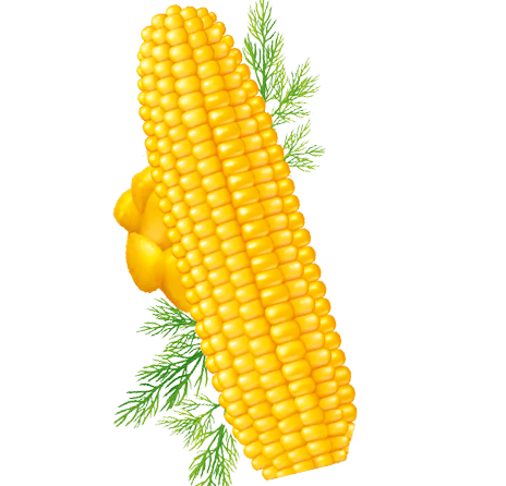 flavor image